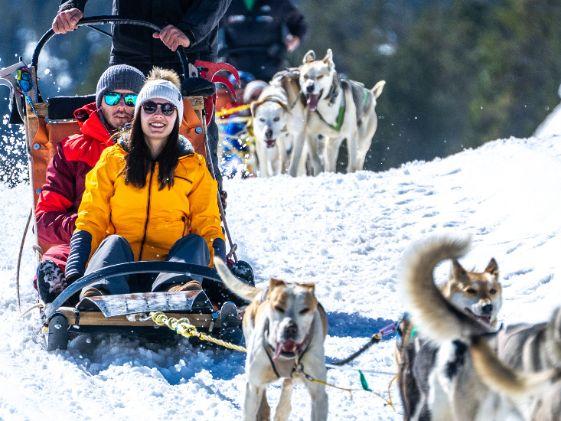 Mushing Ushuaia The Mountain Hotel Arinsal Mushing Ushuaia The Mountain Hotel Arinsal