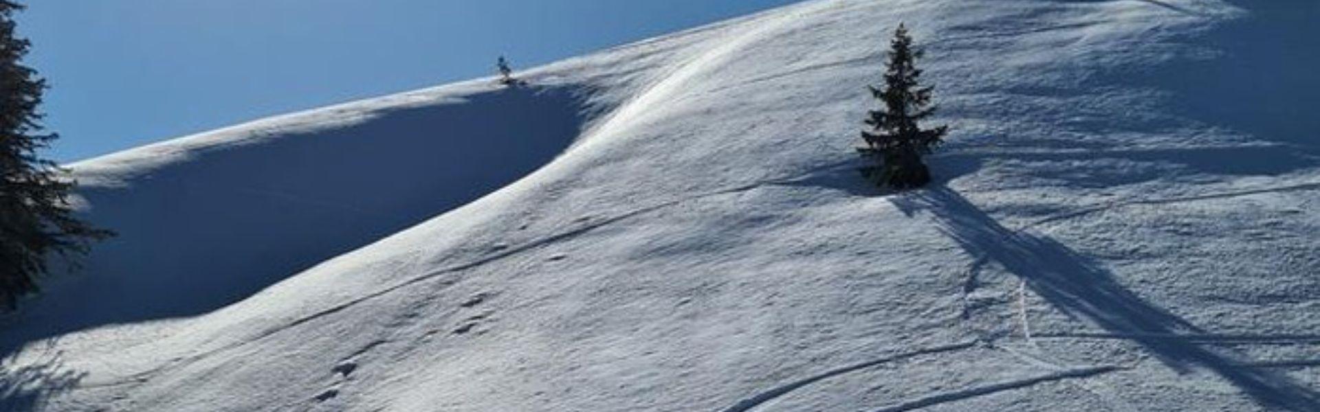 Politique de confidentialité Ushuaia The Mountain Hotel Arinsal Politique de confidentialité Ushuaia The Mountain Hotel Arinsal